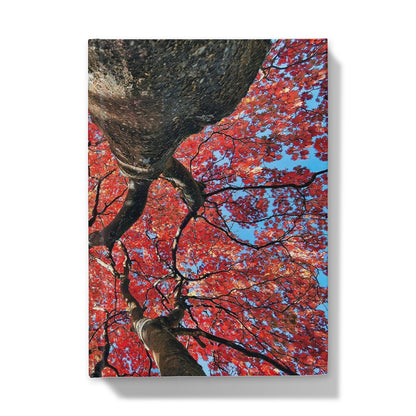 Autumn Blaze: Japanese Maple in Full Glory Hardback Journal