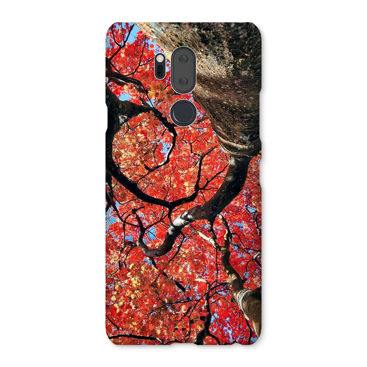 Autumn Blaze: Japanese Maple in Full Glory Snap Phone Case