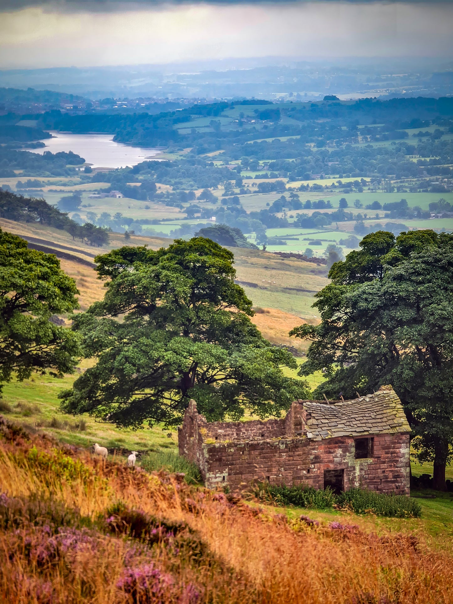 Overlooking Tittesworth Reservoir