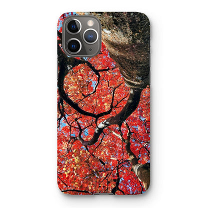 Autumn Blaze: Japanese Maple in Full Glory Snap Phone Case