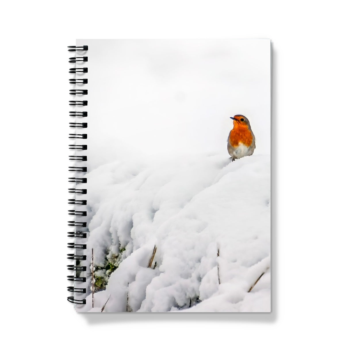 Robin in Winter Notebook