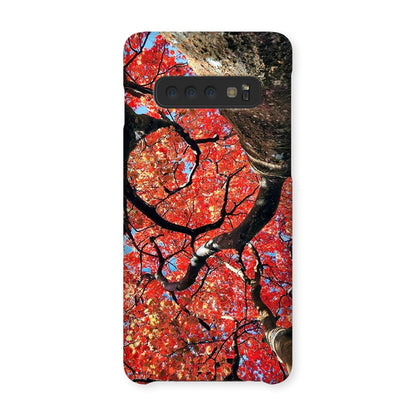 Autumn Blaze: Japanese Maple in Full Glory Snap Phone Case