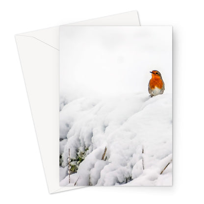 Robin in Winter Greeting Card