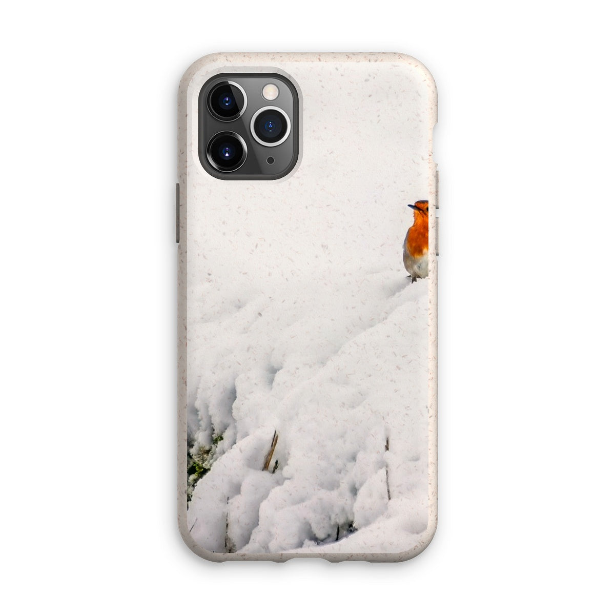 Robin in Winter Eco Phone Case