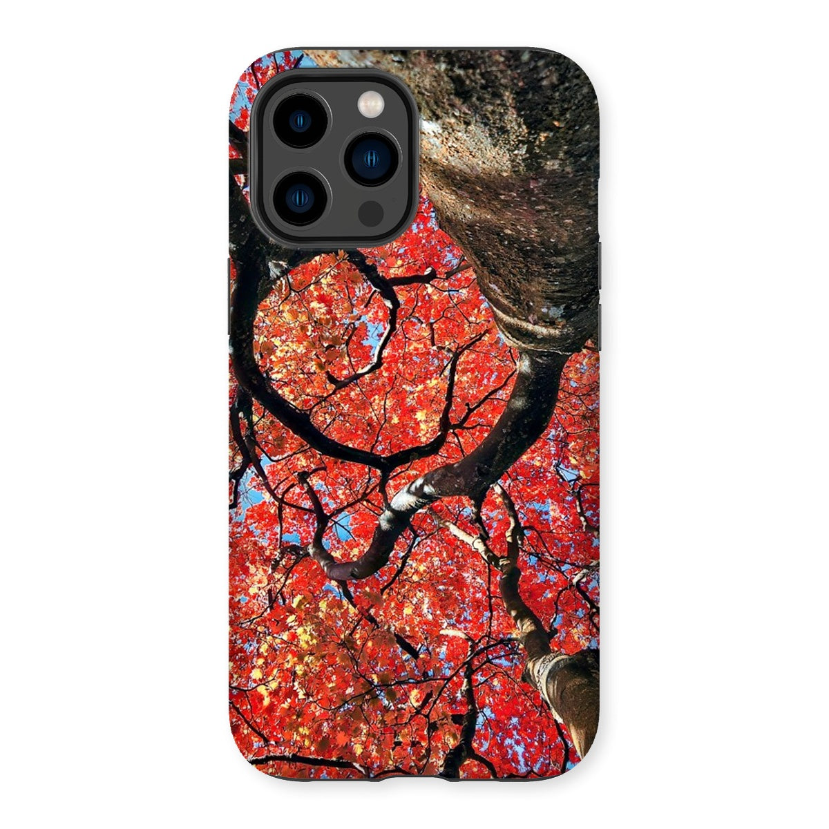 Autumn Blaze: Japanese Maple in Full Glory Tough Phone Case