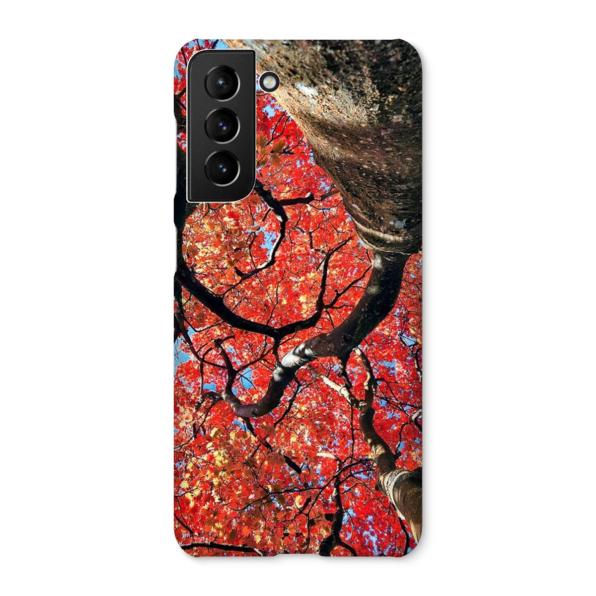 Autumn Blaze: Japanese Maple in Full Glory Snap Phone Case