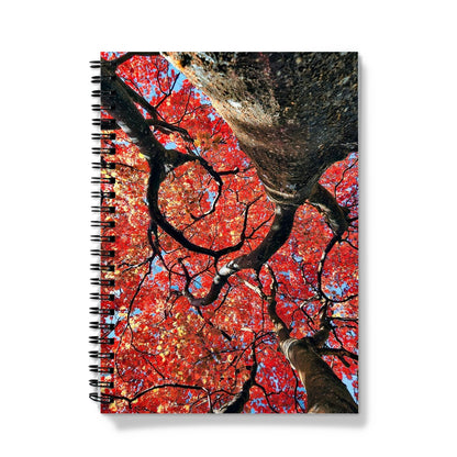 Autumn Blaze: Japanese Maple in Full Glory Notebook
