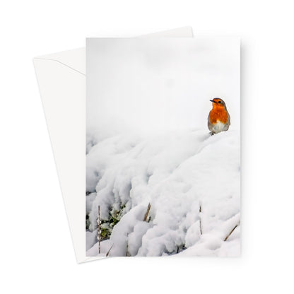 Robin in Winter Greeting Card