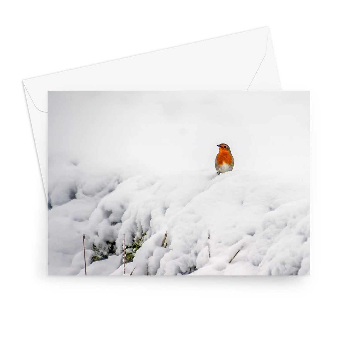 Robin in Winter Greeting Card