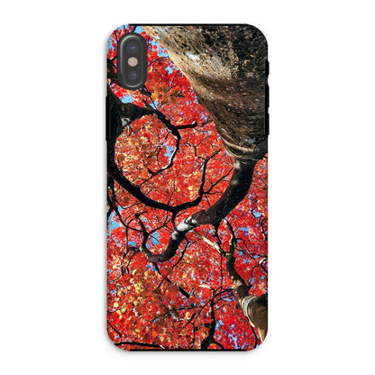 Autumn Blaze: Japanese Maple in Full Glory Tough Phone Case