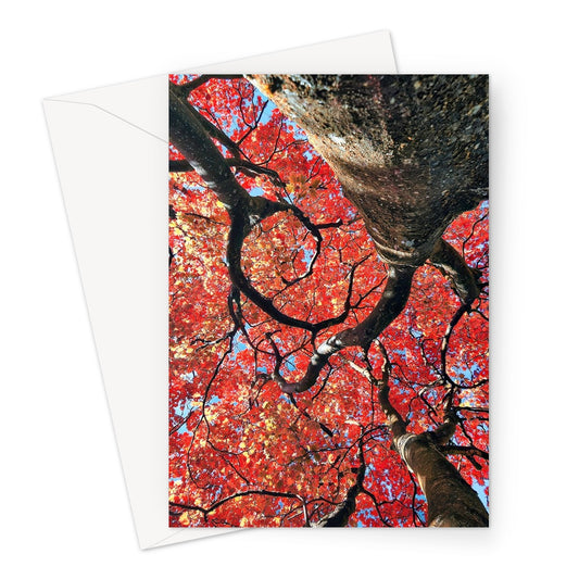 Autumn Blaze: Japanese Maple in Full Glory Greeting Card