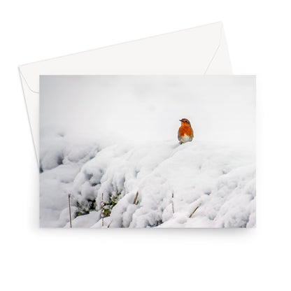 Robin in Winter Greeting Card