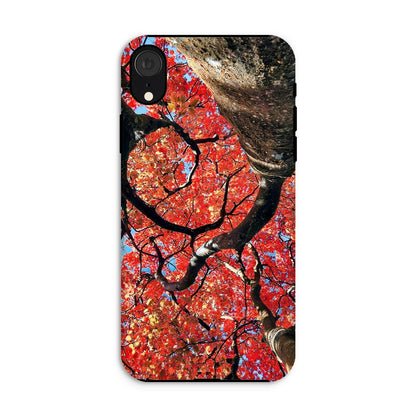 Autumn Blaze: Japanese Maple in Full Glory Tough Phone Case