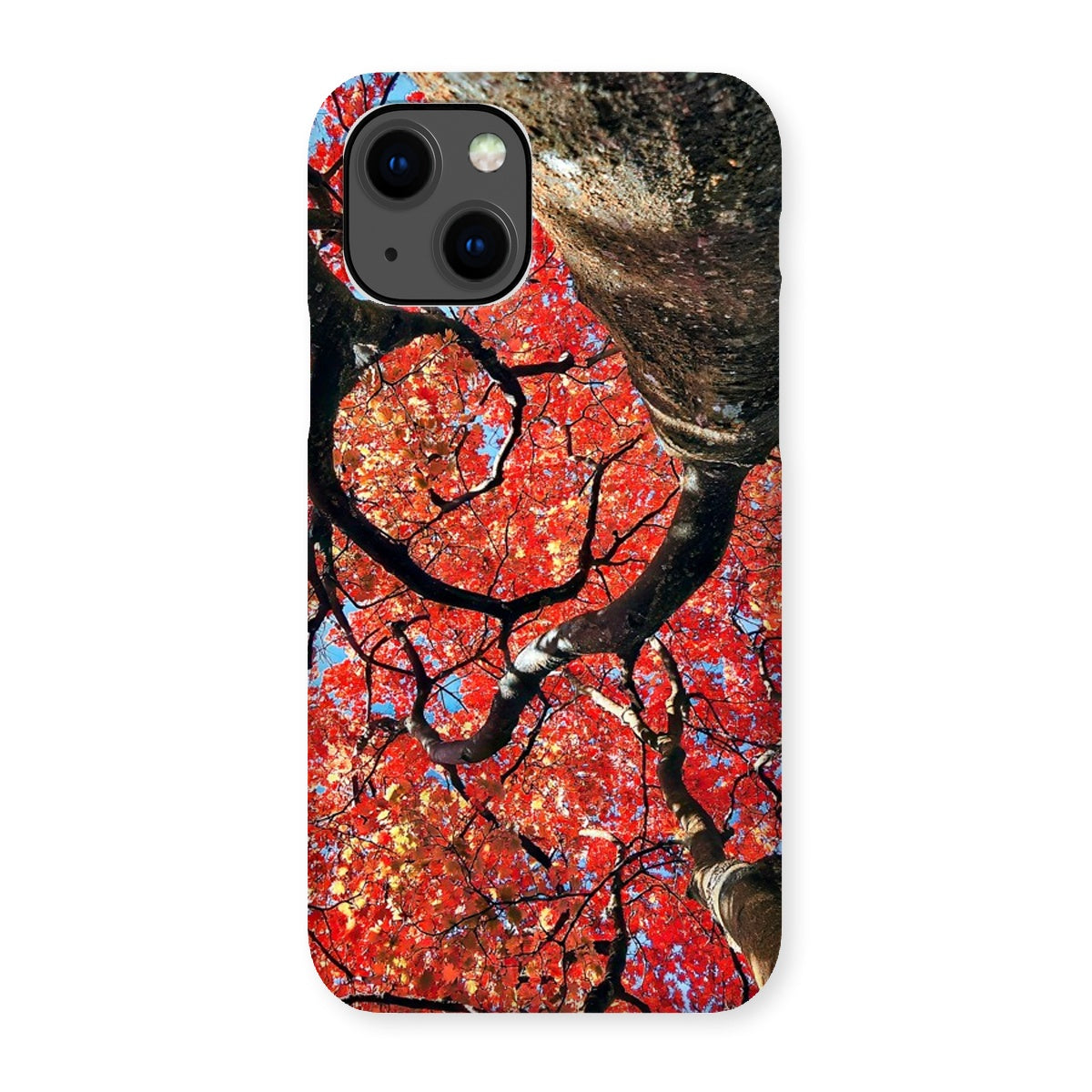 Autumn Blaze: Japanese Maple in Full Glory Snap Phone Case