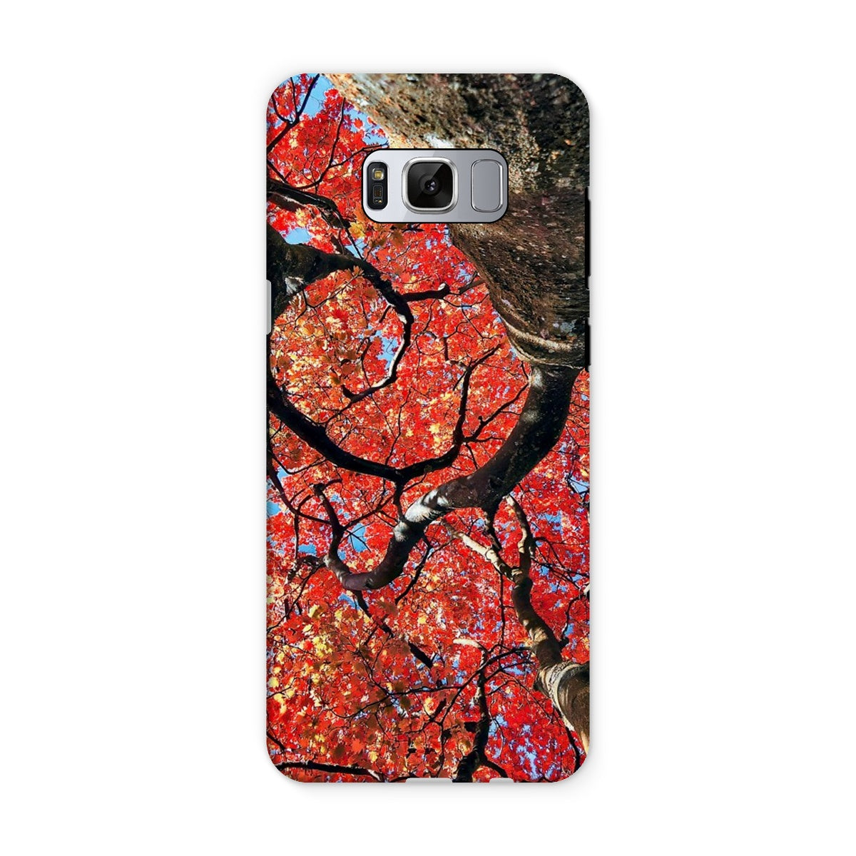 Autumn Blaze: Japanese Maple in Full Glory Tough Phone Case