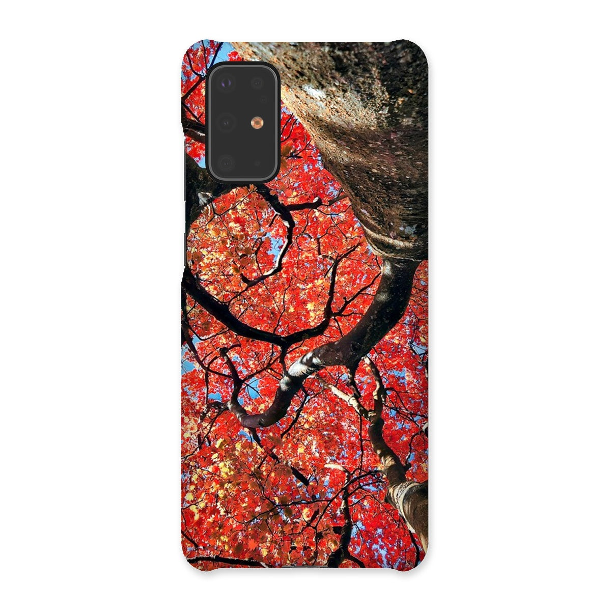 Autumn Blaze: Japanese Maple in Full Glory Snap Phone Case