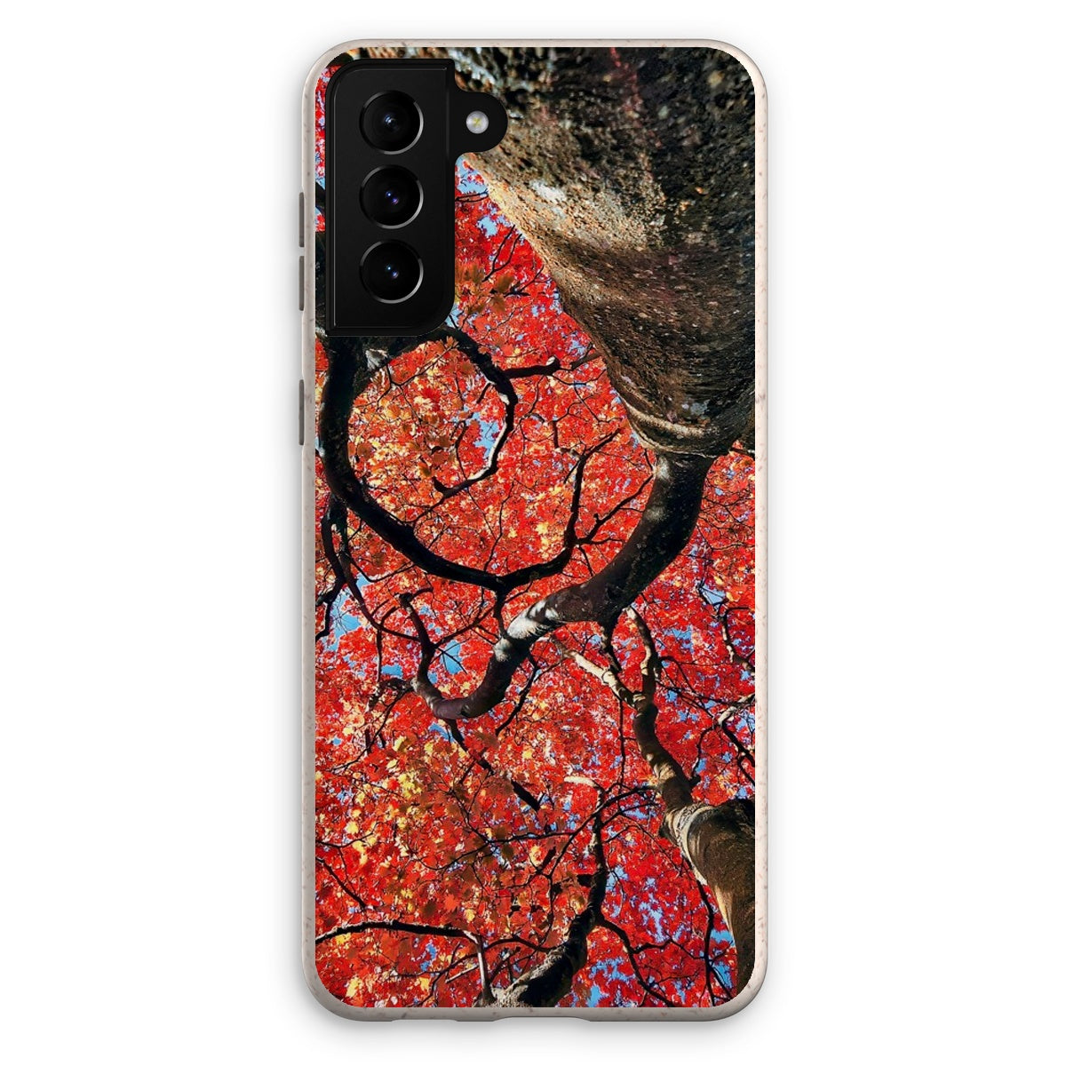 Autumn Blaze: Japanese Maple in Full Glory Eco Phone Case