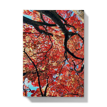 Autumn Blaze: Japanese Maple in Full Glory Hardback Journal