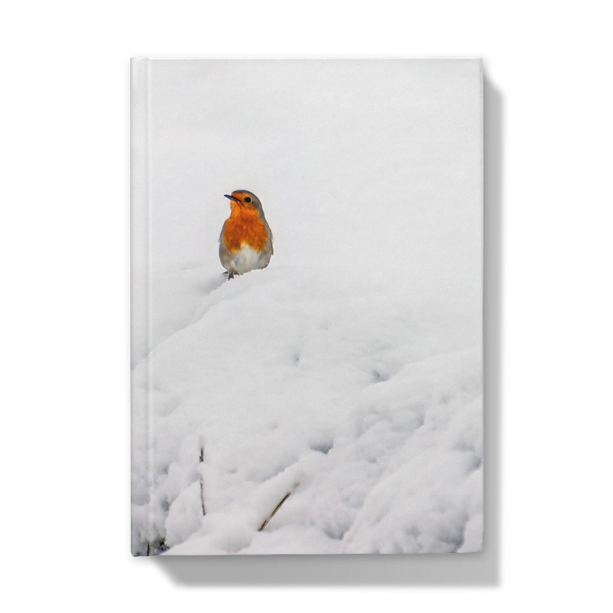 Robin in Winter Hardback Journal