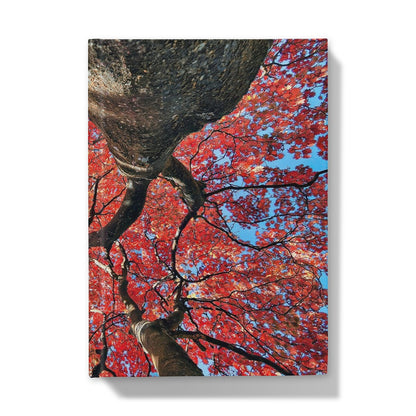 Autumn Blaze: Japanese Maple in Full Glory Hardback Journal