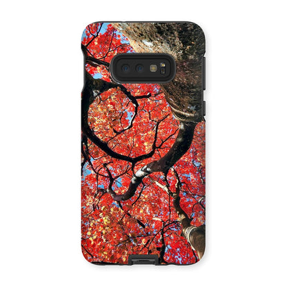 Autumn Blaze: Japanese Maple in Full Glory Tough Phone Case