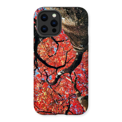 Autumn Blaze: Japanese Maple in Full Glory Tough Phone Case