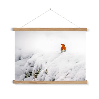 Robin in Winter Fine Art Print with Hanger