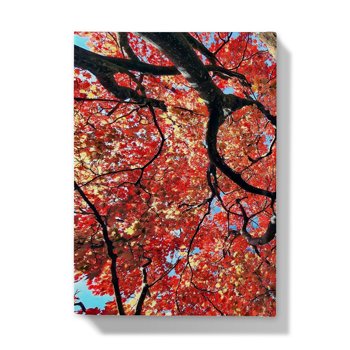 Autumn Blaze: Japanese Maple in Full Glory Hardback Journal