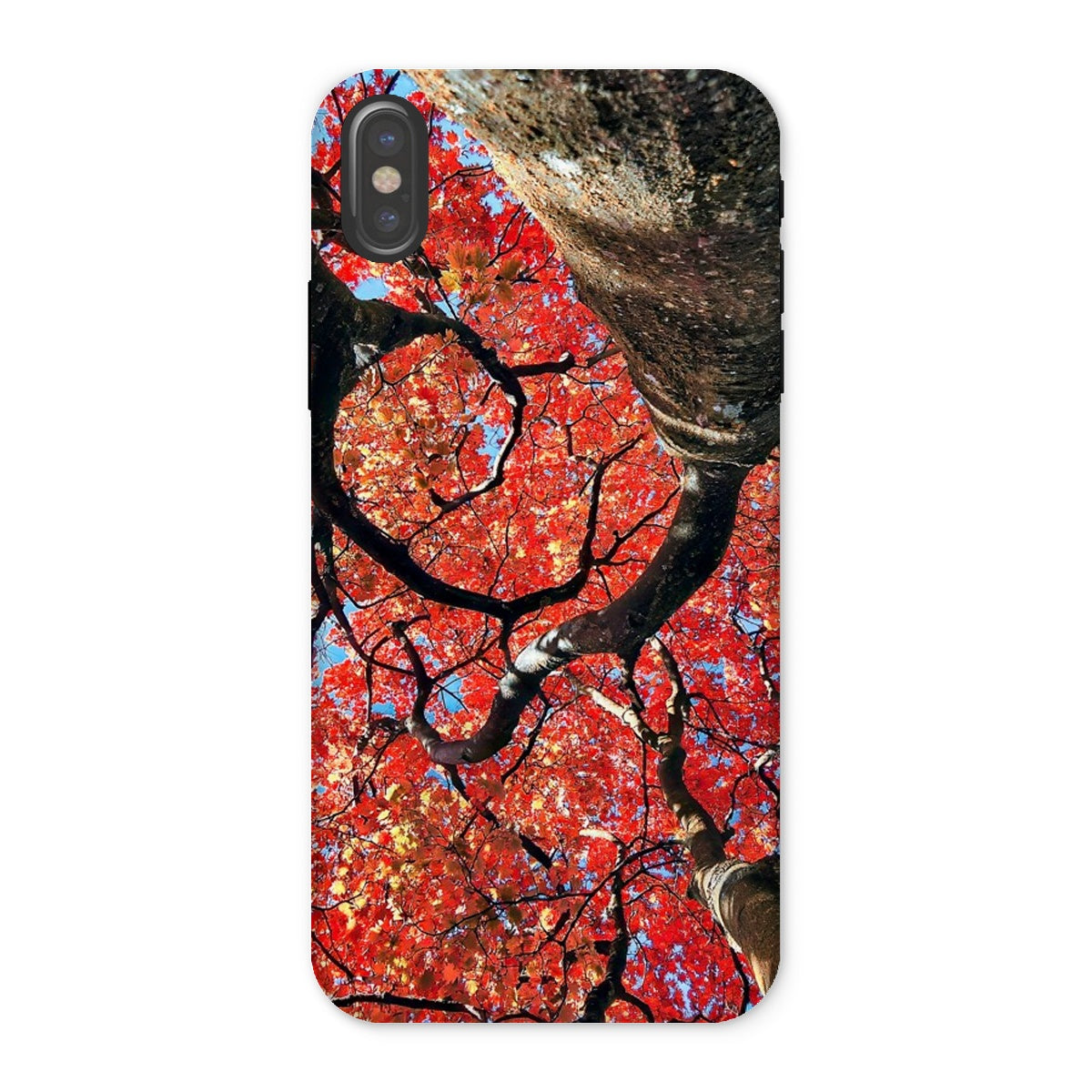 Autumn Blaze: Japanese Maple in Full Glory Tough Phone Case