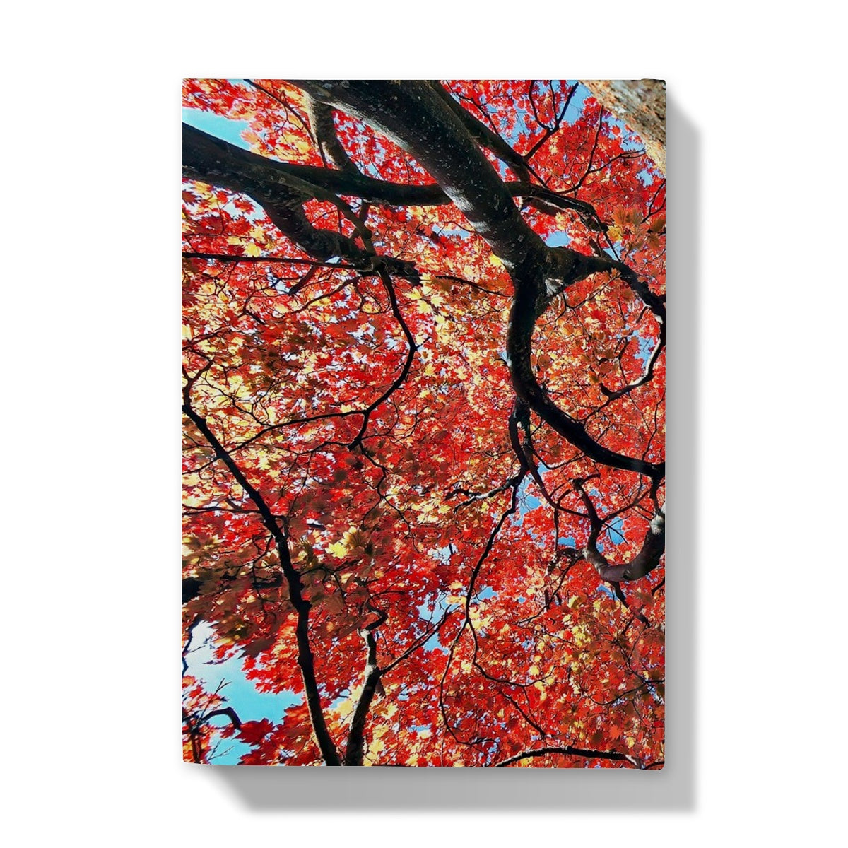 Autumn Blaze: Japanese Maple in Full Glory Hardback Journal